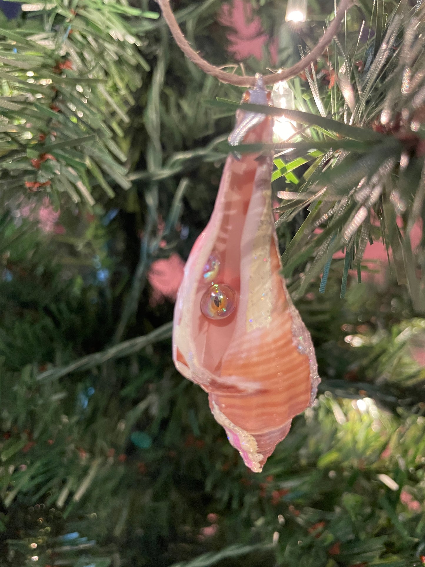 Dreamy Creamsicle Hand Painted Seashell Ornaments