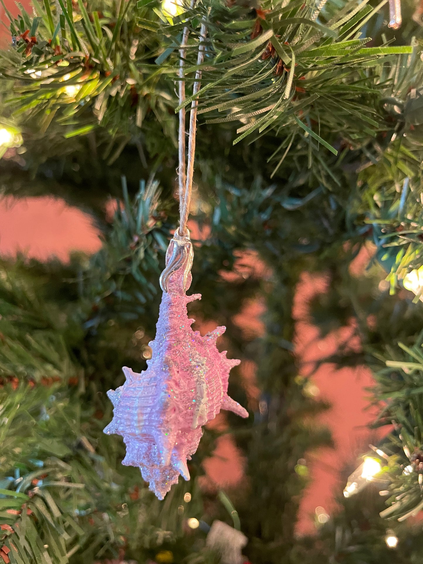 Dreamy Creamsicle Hand Painted Seashell Ornaments