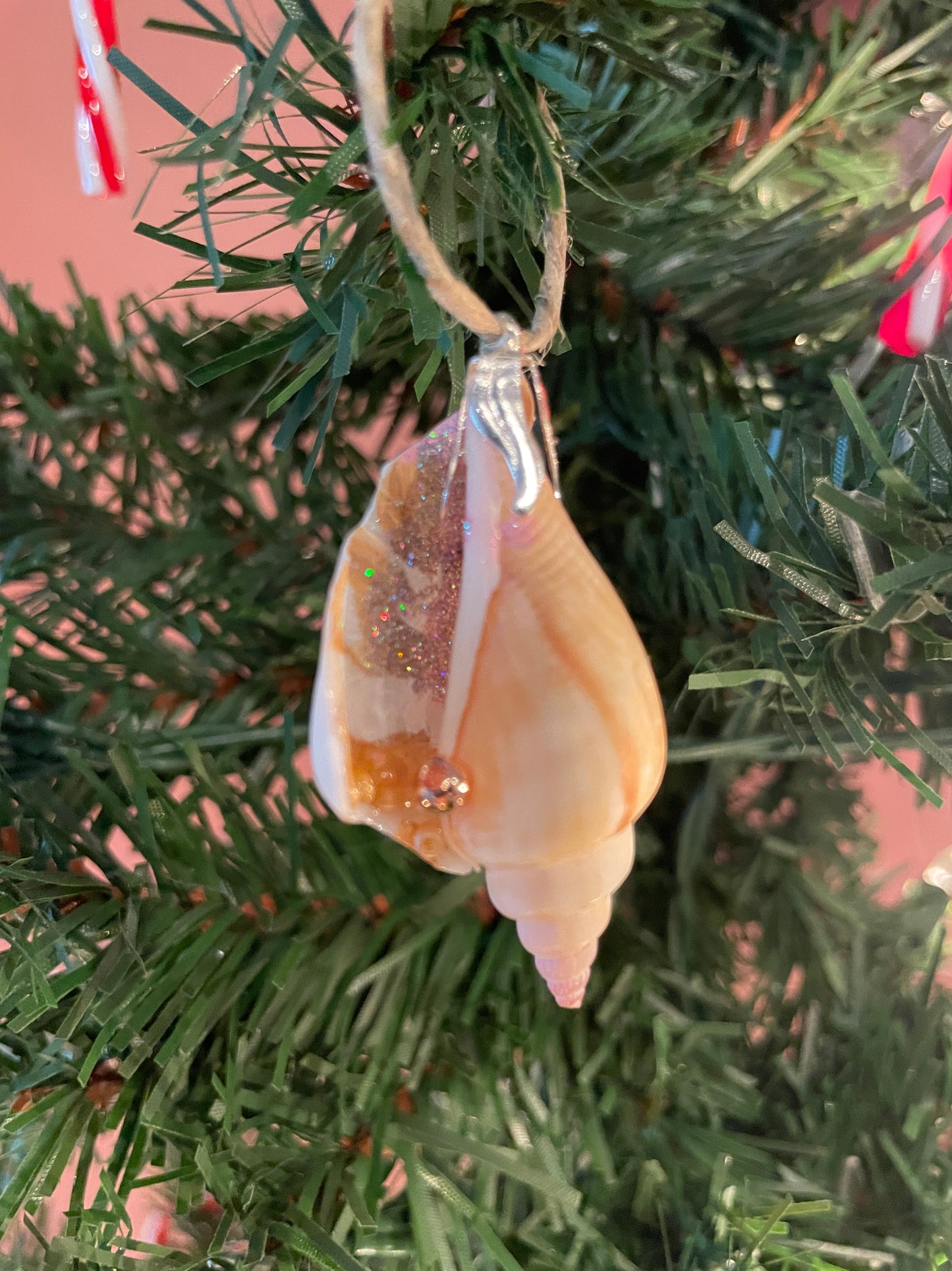 Dreamy Creamsicle Hand Painted Seashell Ornaments