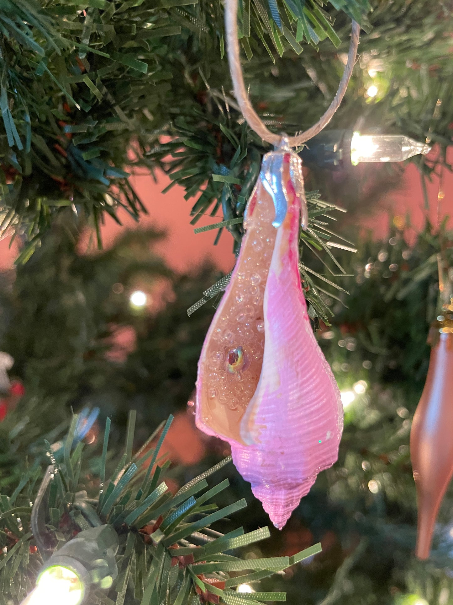 Dreamy Creamsicle Hand Painted Seashell Ornaments