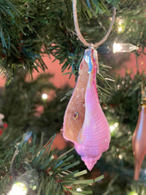 *New* Dreamy Creamsicle Hand Painted Seashell Ornaments