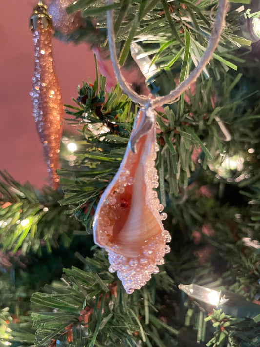 Dreamy Creamsicle Hand Painted Seashell Ornaments