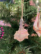 Dreamy Creamsicle Hand Painted Seashell Ornaments
