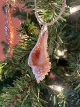 Dreamy Creamsicle Hand Painted Seashell Ornaments