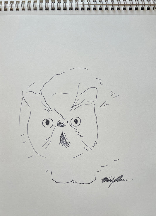 Original ink on paper, cat