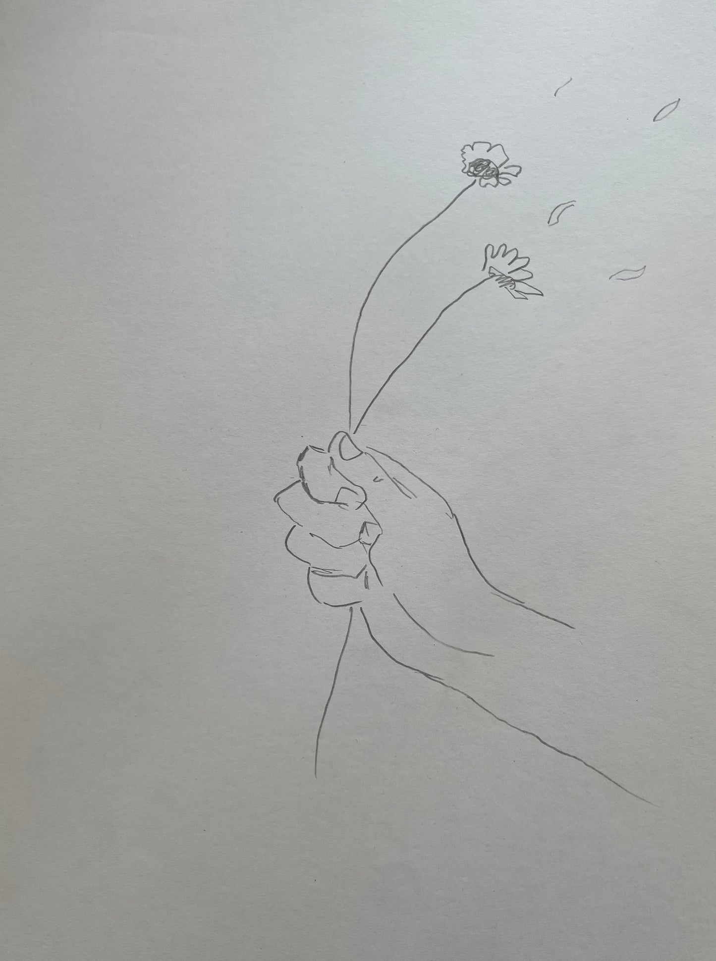 Original pencil on paper, flower in wind