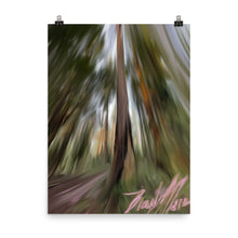 Among Giants Pink Forest Poster / West Coast / Vancouver / Outdoors / Nature