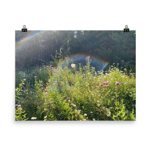 Rainbow Wild Flower Poster/Wild Nature Whimsical Photography Print/Flower Art/LGBTQ Art/Gay Art/Wilderness Art/Queer Art Lesbian